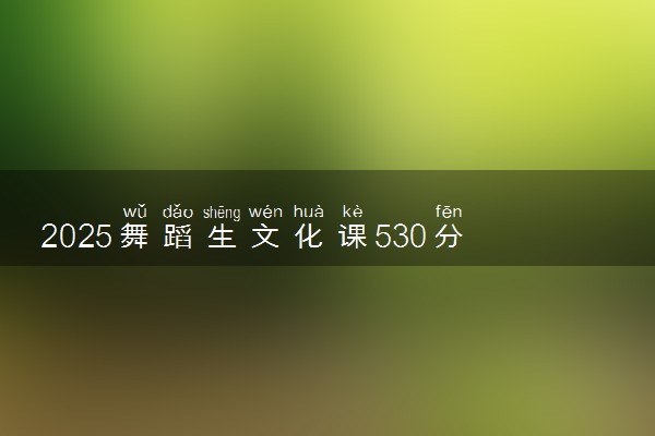 2025舞蹈生文化课530分能上河北师范大学吗
