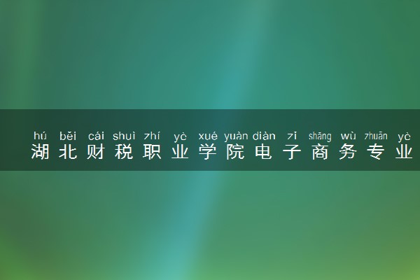 湖北财税职业学院电子商务专业怎么样 录取分数线多少