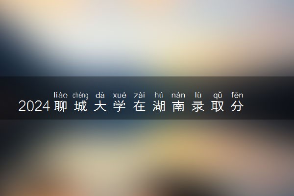 2024聊城大学在湖南录取分数线 各专业分数及位次