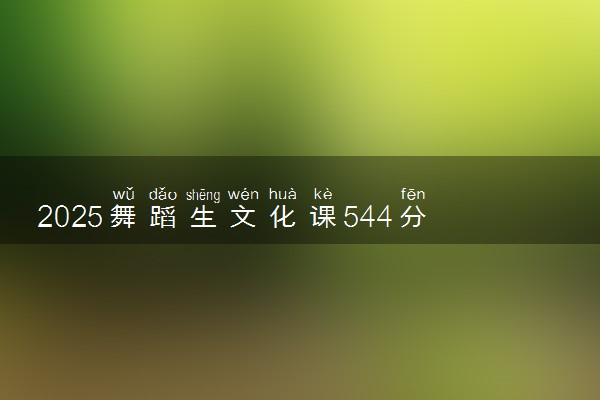 2025舞蹈生文化课544分能上哈尔滨理工大学吗