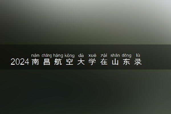 2024南昌航空大学在山东录取分数线 各专业分数及位次