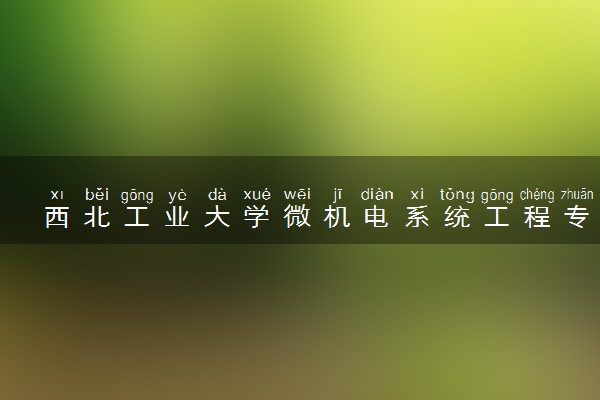 西北工业大学微机电系统工程专业怎么样 录取分数线多少