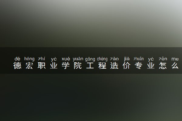 德宏职业学院工程造价专业怎么样 录取分数线多少
