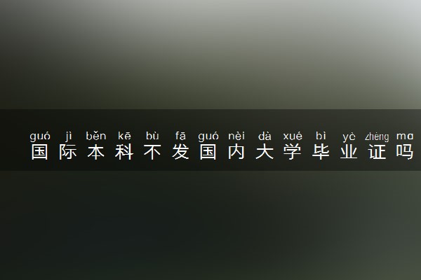 国际本科不发国内大学毕业证吗 学历认可度高吗