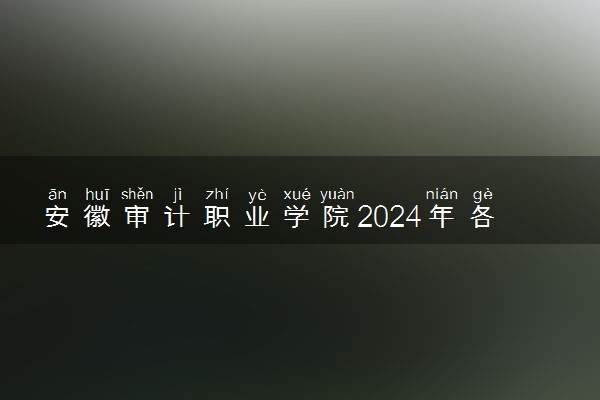 安徽审计职业学院2024年各省录取分数线 多少分能考上