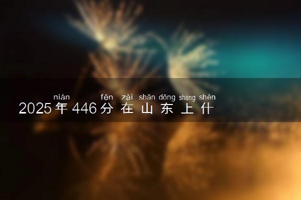 2025年446分在山东上什么大学好 近三年录取分数线是多少