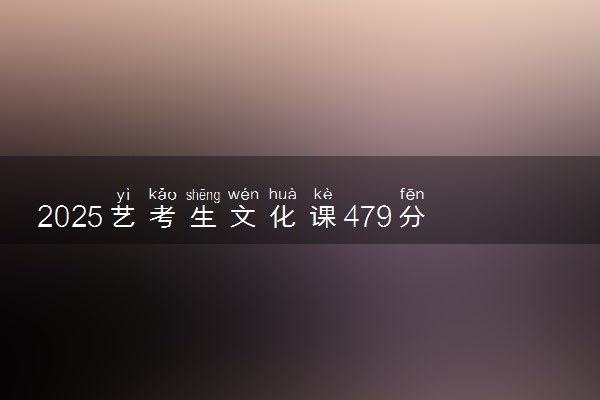 2025艺考生文化课479分能上山东工商学院吗