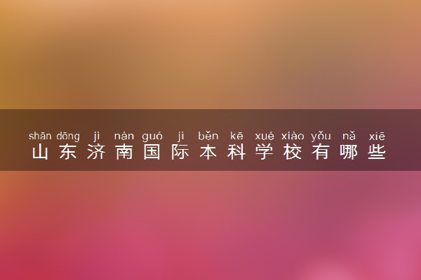 山东济南国际本科学校有哪些 录取率高吗