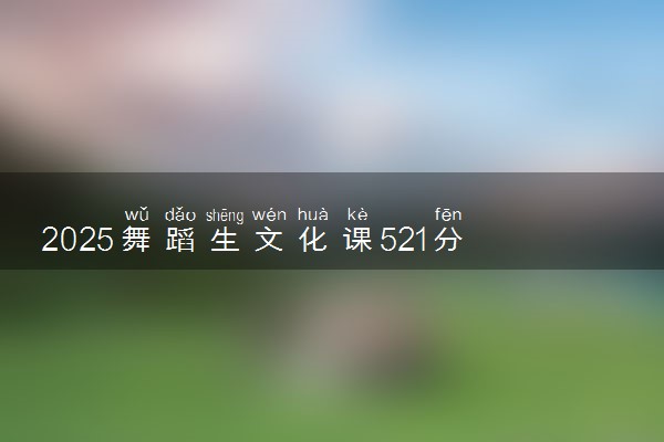 2025舞蹈生文化课521分能上云南警官学院吗