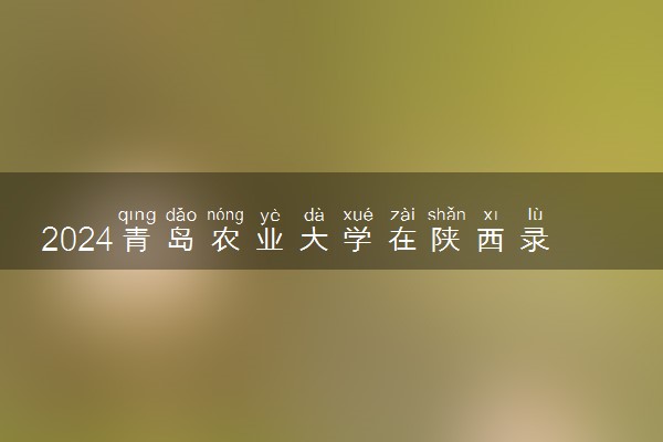 2024青岛农业大学在陕西录取分数线 各专业分数及位次