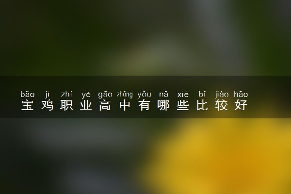 宝鸡职业高中有哪些比较好