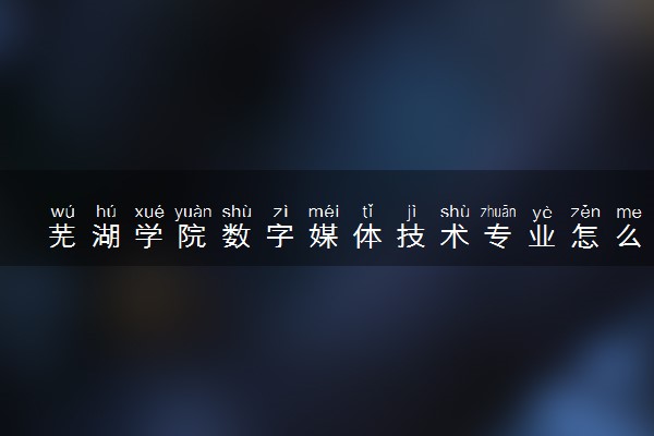 芜湖学院数字媒体技术专业怎么样 录取分数线多少