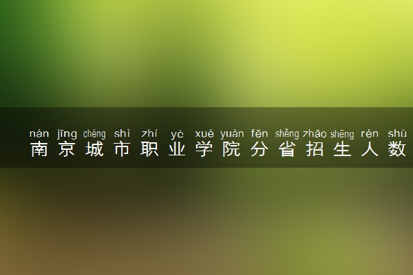 南京城市职业学院分省招生人数及招生专业2025年招生计划参考