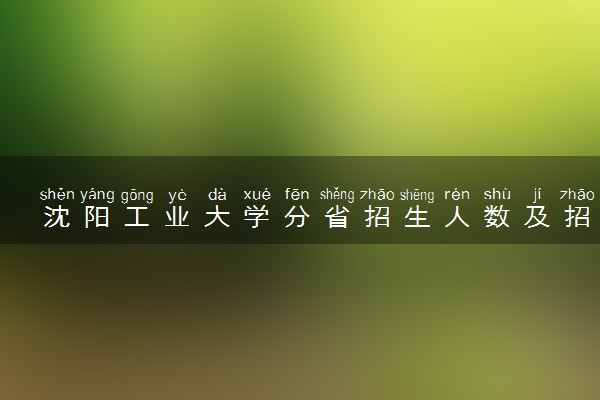 沈阳工业大学分省招生人数及招生专业2025年招生计划参考