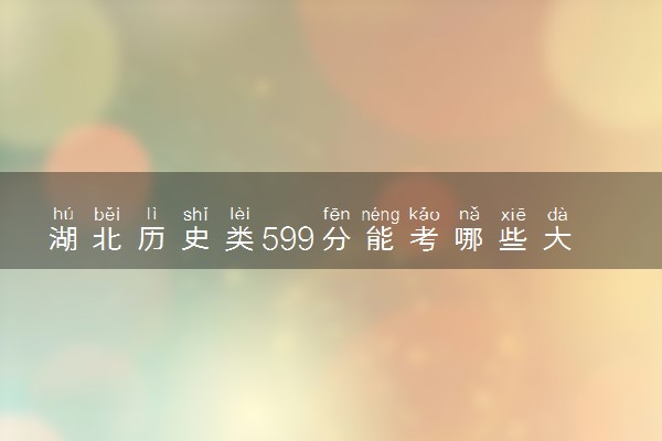 湖北历史类599分能考哪些大学 2025考生稳上的大学名单