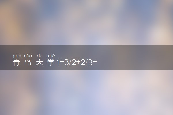 青岛大学1+3/2+2/3+1国际本科项目招生简章