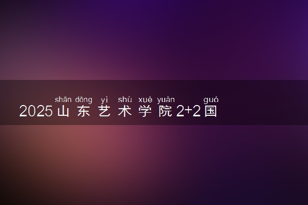 2025山东艺术学院2+2国际本科报名要求 流程步骤