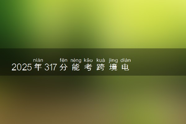 2025年317分能考跨境电子商务专业吗 317分跨境电子商务专业大学推荐