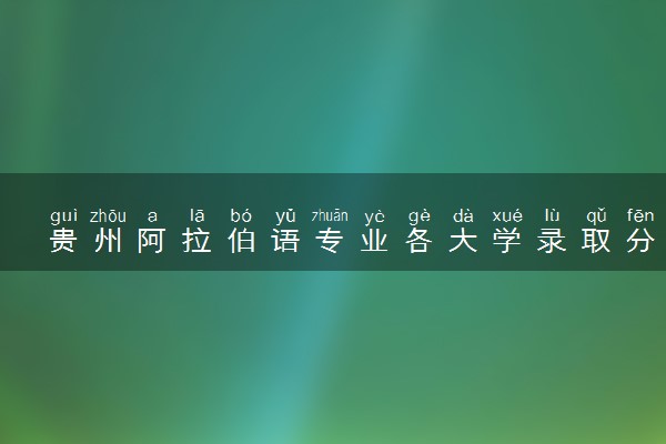 贵州阿拉伯语专业各大学录取分数线：最低384分能上 开设院校及位次