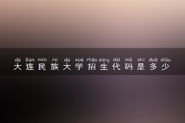 大连民族大学招生代码是多少 附专业代码对照表（2025参考）