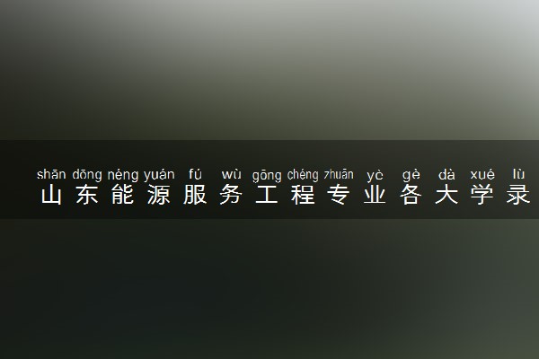 山东能源服务工程专业各大学录取分数线：最低465分能上 开设院校及位次