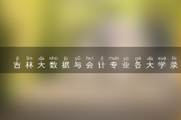 吉林大数据与会计专业各大学录取分数线：最低186分能上 开设院校及位次