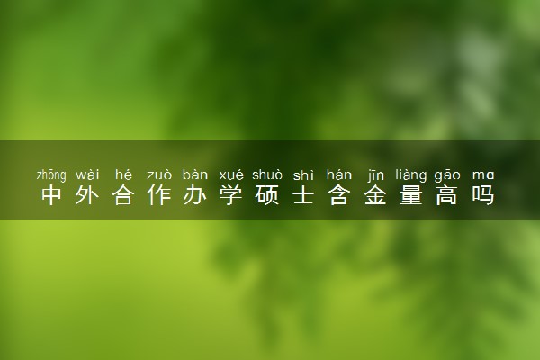 中外合作办学硕士含金量高吗 央国企认可度高吗