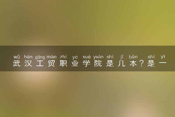 武汉工贸职业学院是几本？是一本还是二本大学