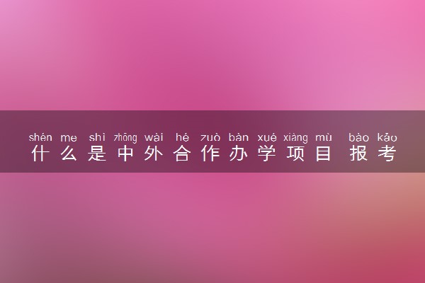 什么是中外合作办学项目 报考常见问题有哪些