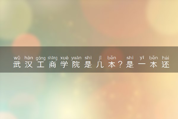 武汉工商学院是几本？是一本还是二本大学