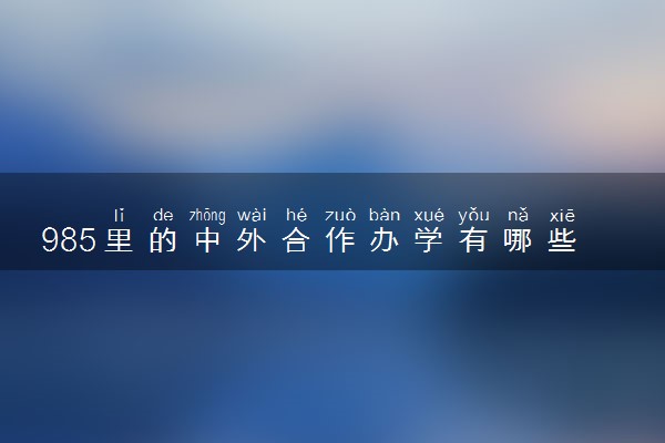 985里的中外合作办学有哪些 值得报考吗
