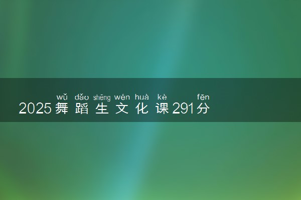 2025舞蹈生文化课291分能上重庆海联职业技术学院吗