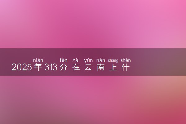 2025年313分在云南上什么大学好 近三年录取分数线是多少