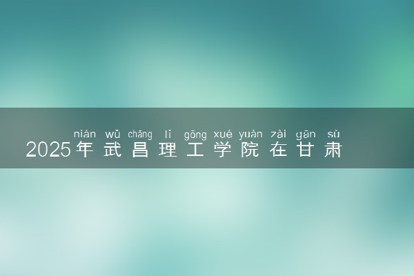 2025年武昌理工学院在甘肃招生代码及专业代码 武昌理工学院甘肃代码是多少？怎么查询？