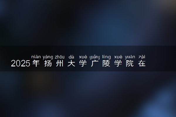 2025年扬州大学广陵学院在广西招生代码：13987 专业代码及报考指南