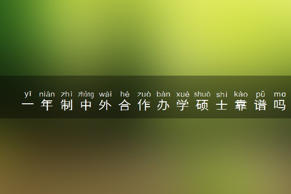 一年制中外合作办学硕士靠谱吗 适合哪些人报考
