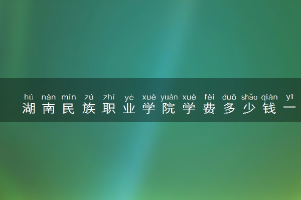 湖南民族职业学院学费多少钱一年 各专业收费标准（2025年参考）