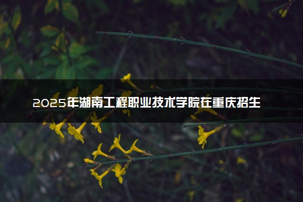 2025年湖南工程职业技术学院在重庆招生代码及专业代码 湖南工程职业技术学院重庆代码是多少？怎么查询？