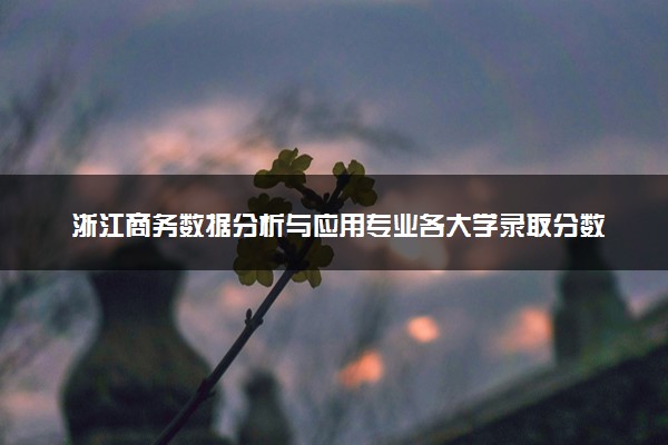 浙江商务数据分析与应用专业各大学录取分数线：最低269分能上 开设院校及位次