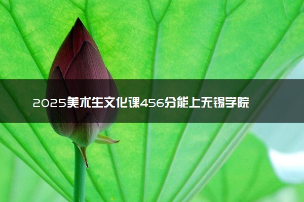 2025美术生文化课456分能上无锡学院吗