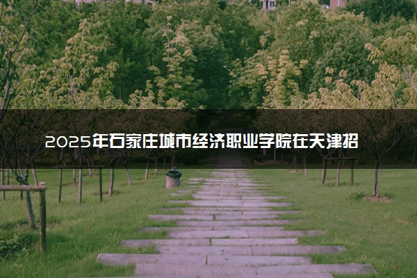 2025年石家庄城市经济职业学院在天津招生代码：1118 专业代码及报考指南