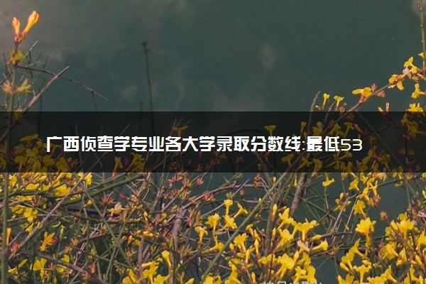 广西侦查学专业各大学录取分数线：最低539分能上 开设院校及位次