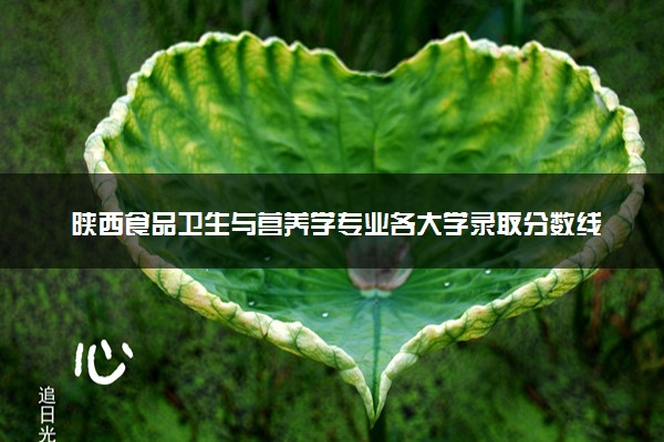 陕西食品卫生与营养学专业各大学录取分数线：最低441分能上 开设院校及位次
