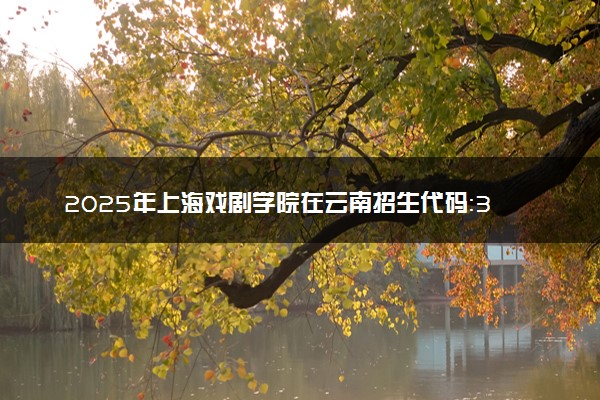 2025年上海戏剧学院在云南招生代码：3121 专业代码及报考指南