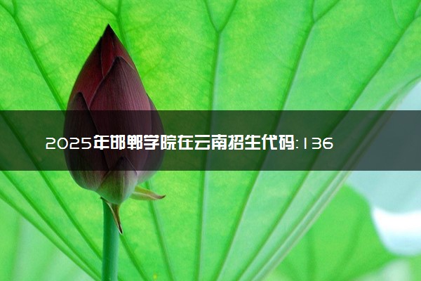 2025年邯郸学院在云南招生代码：1369 专业代码及报考指南