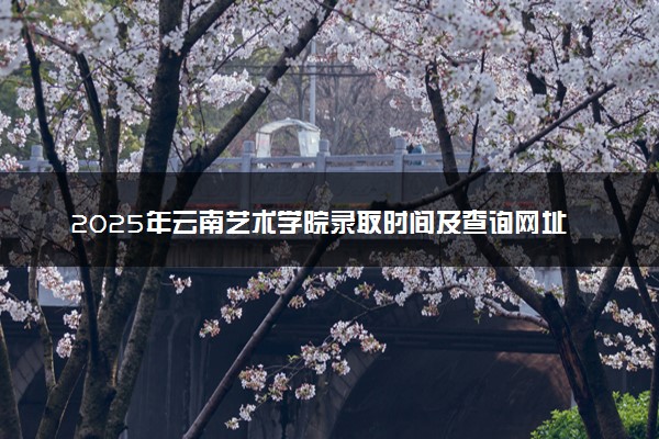 2025年云南艺术学院录取时间及查询网址入口 录取结果什么时候公布