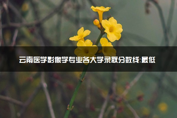 云南医学影像学专业各大学录取分数线：最低442分能上 开设院校及位次