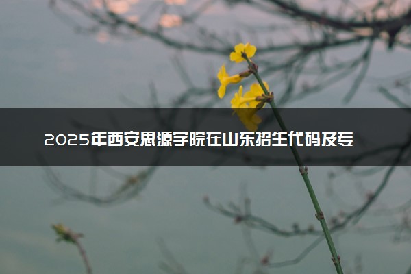 2025年西安思源学院在山东招生代码及专业代码 西安思源学院山东代码是多少？怎么查询？