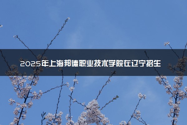 2025年上海邦德职业技术学院在辽宁招生代码及专业代码 上海邦德职业技术学院辽宁代码是多少？怎么查询？