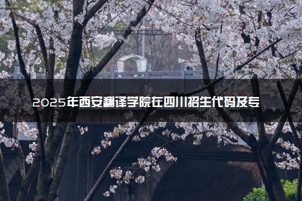 2025年西安翻译学院在四川招生代码及专业代码 西安翻译学院四川代码是多少？怎么查询？